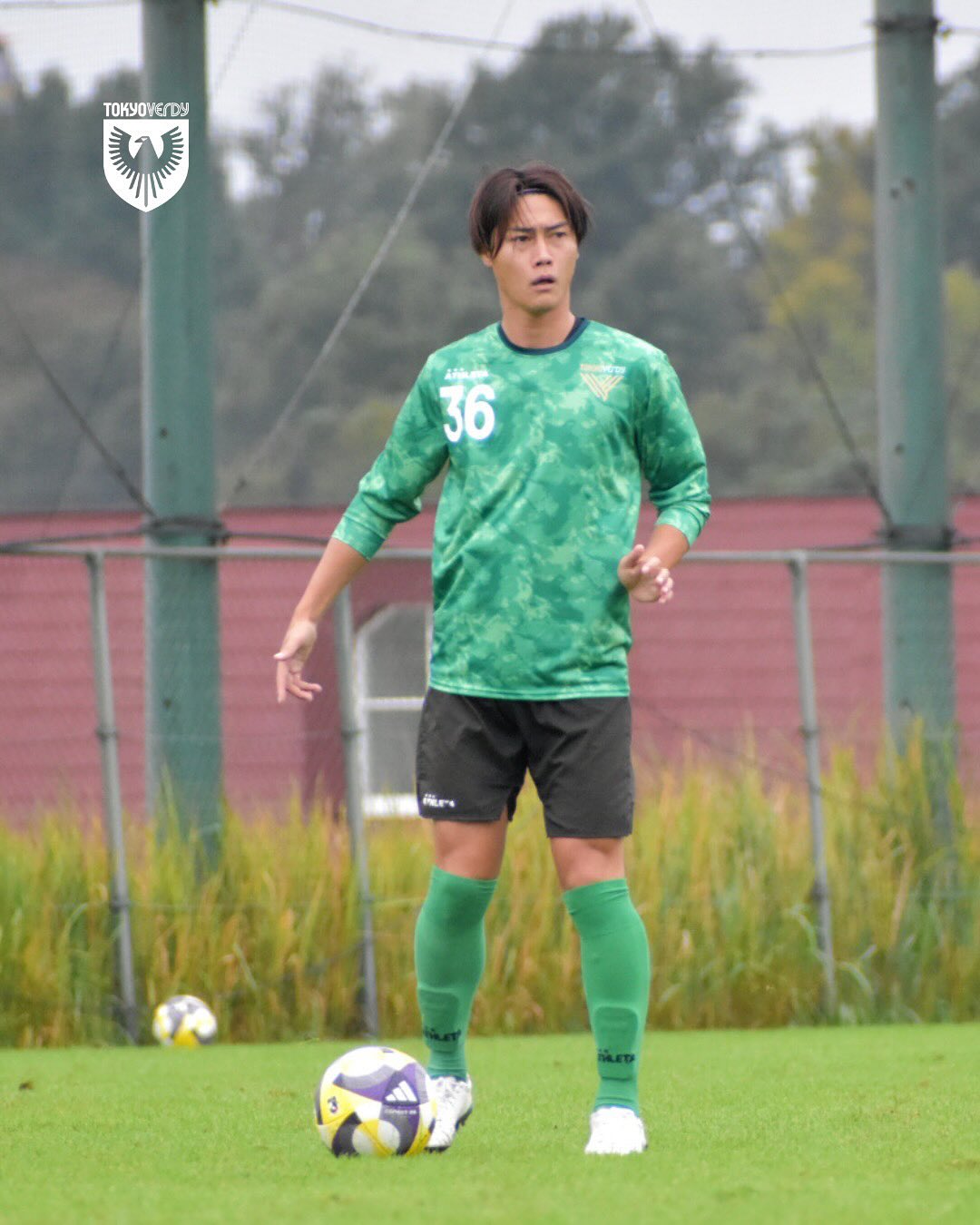 【2025振り返り】No.36 松田陸